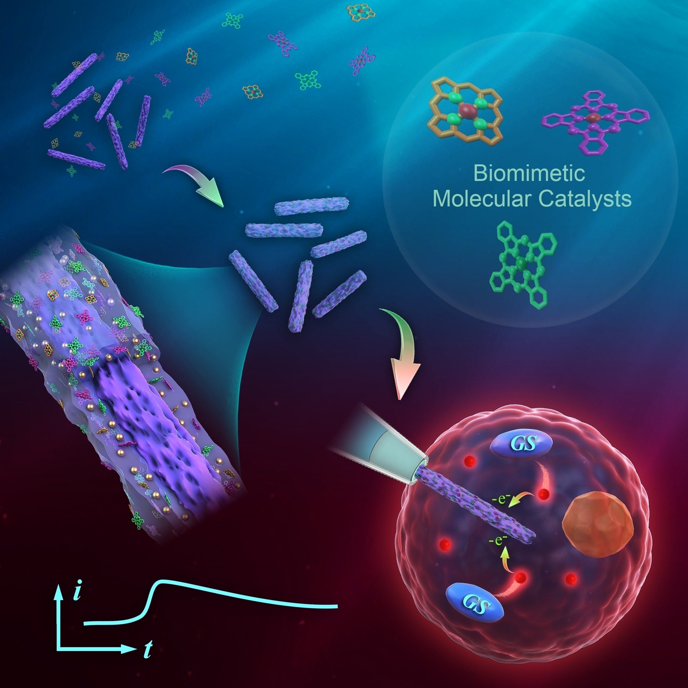 <a href='http://huanglab.whu.edu.cn/info/1032/1581.htm' target='_blank'><h4>Versatile Construction of Biomimetic Nanosensors for Electrochemical Monitoring of Intracellular Glutathione</h4> <p>​ABSTRACT：The current strategies for nanoelectrode functionalization usually involve sophisticated modification procedures, uncontrollable and unstable modifier assembly, as well as a limited variety of modifiers. To address this issue, we propose a versatile strategy for large-scale synthesis of biomimetic molecular catalysts (BMCs) modified nanowires (NWs) to construct functionalized electr...</p></a>